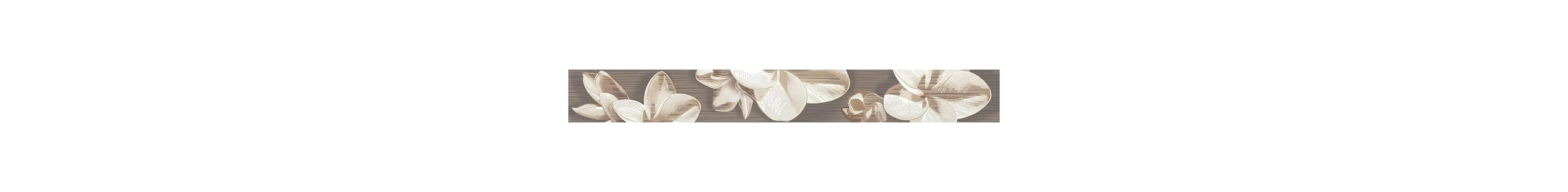 Бордюр настенный Amati (Амати) Plumeria Alba 62х505 коричневый Азори