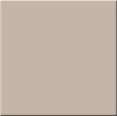 Керамогранит моноколор Rainbow RW 041 Dark Beige 600х600 полированный темно-бежевый Estima